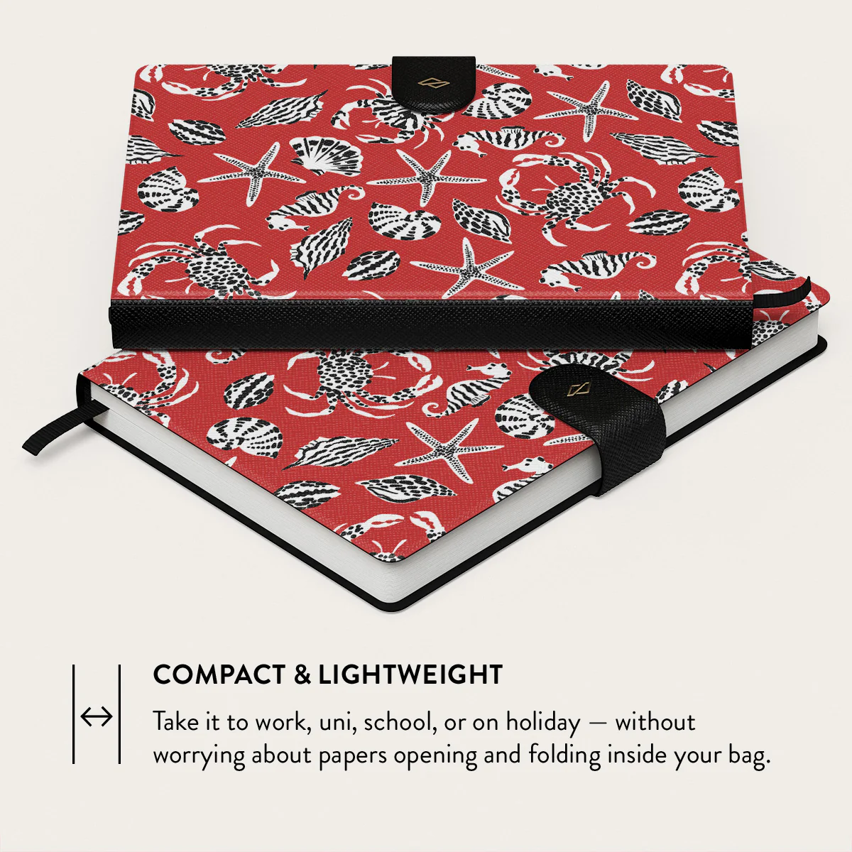 Hydra - Notebook - Image 8