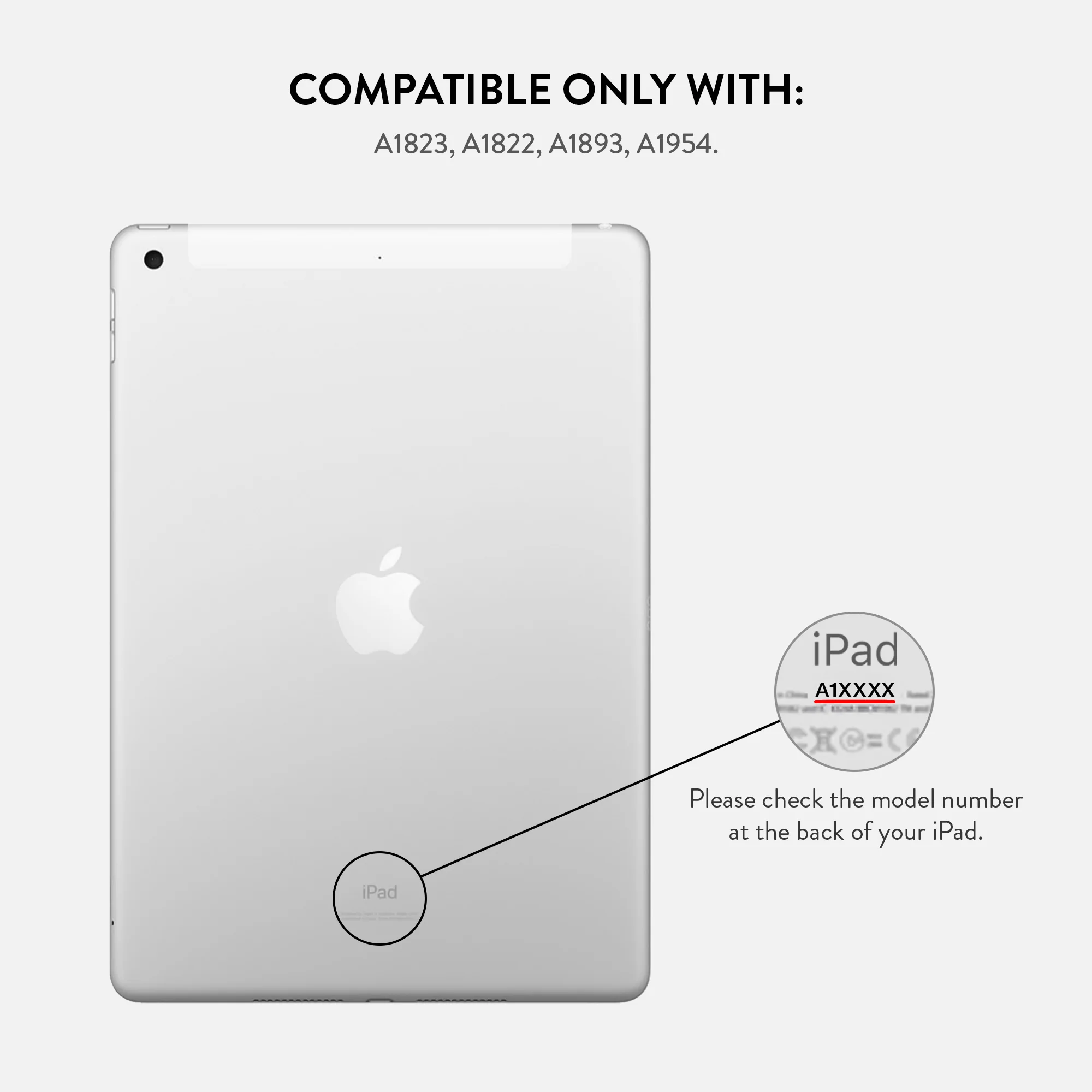 Pickled - iPad 9.7 (6th/5th Gen) Case - Image 3